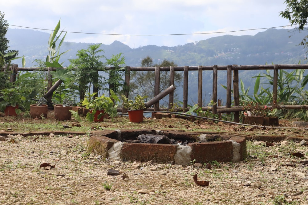 Penuel Homestay