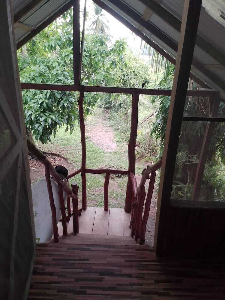 Amaya's Hostel