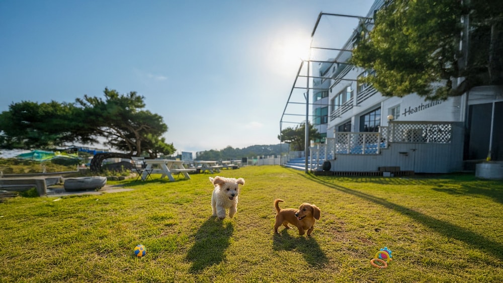 Goseong Mung Stay