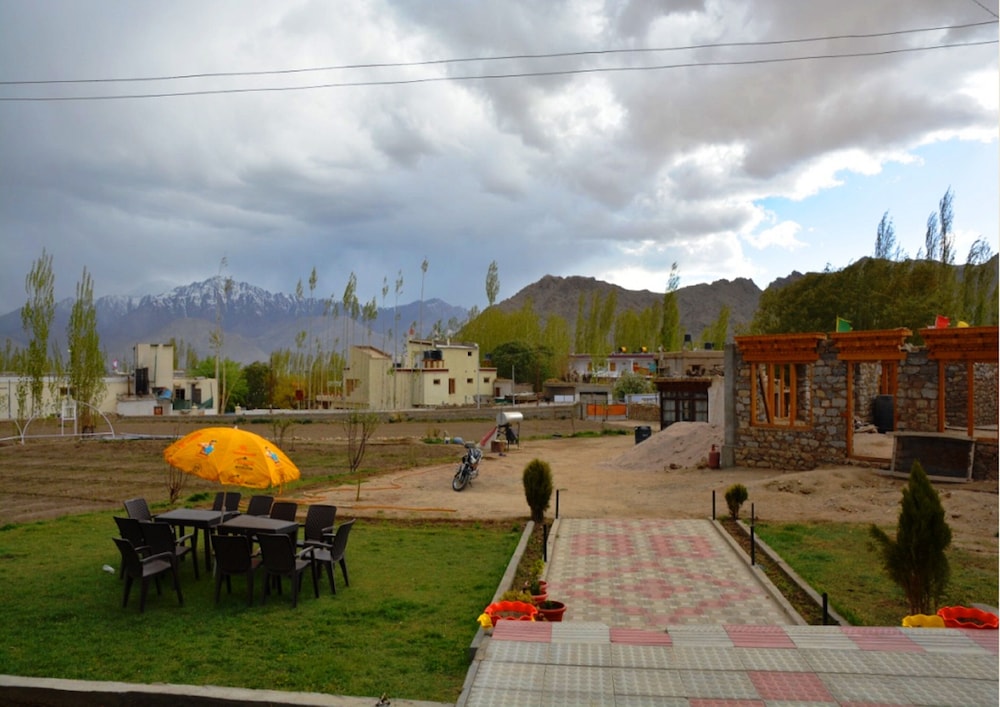 Photo 11