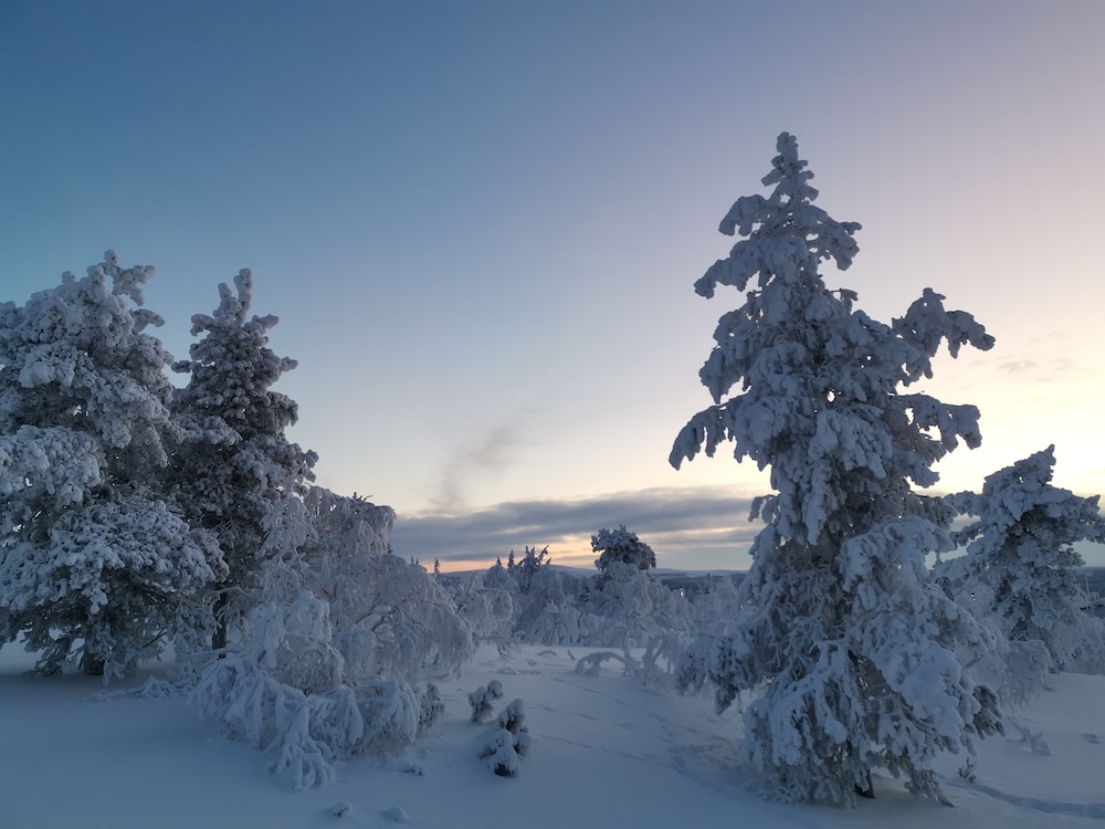 Sielikkö Aurora Log Villas