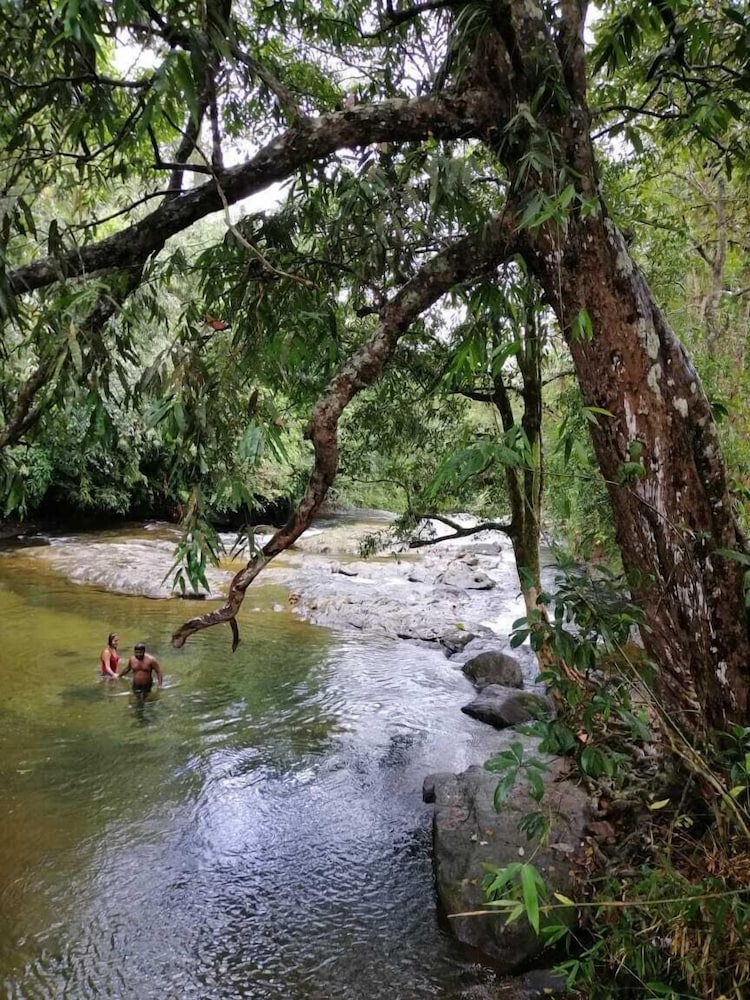 Makeliya Jungle & Waterfall Tour