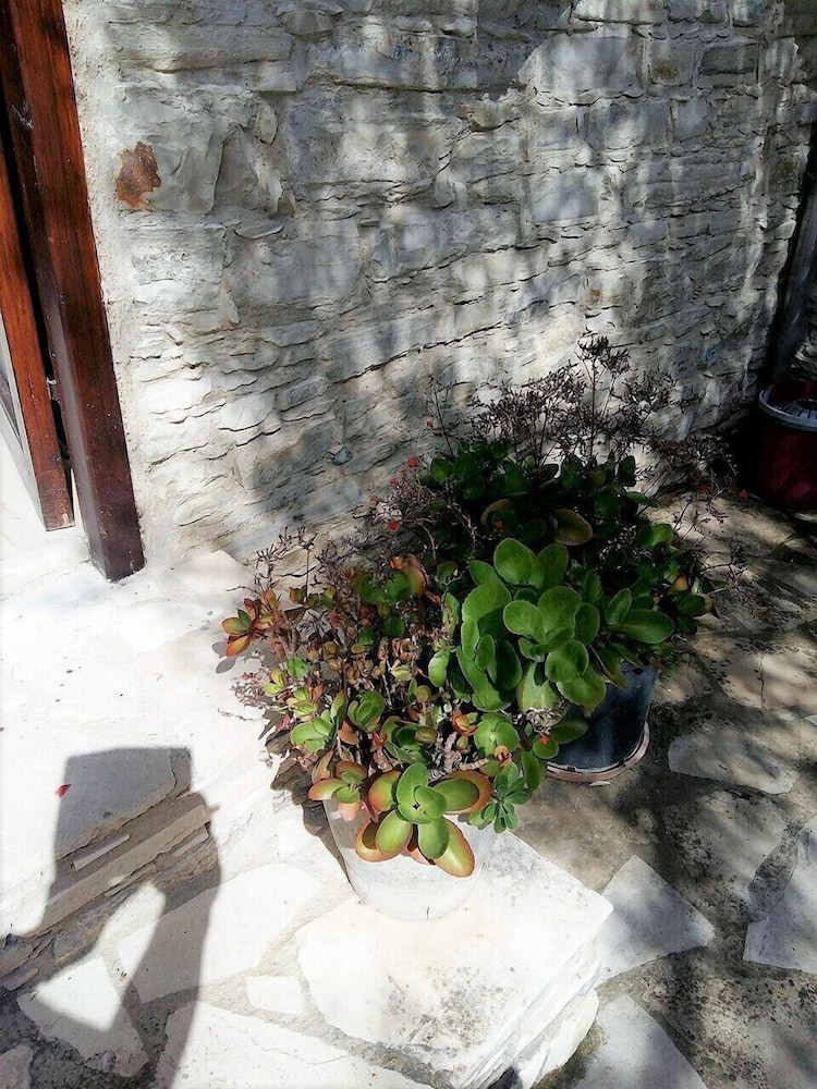 Photo 46