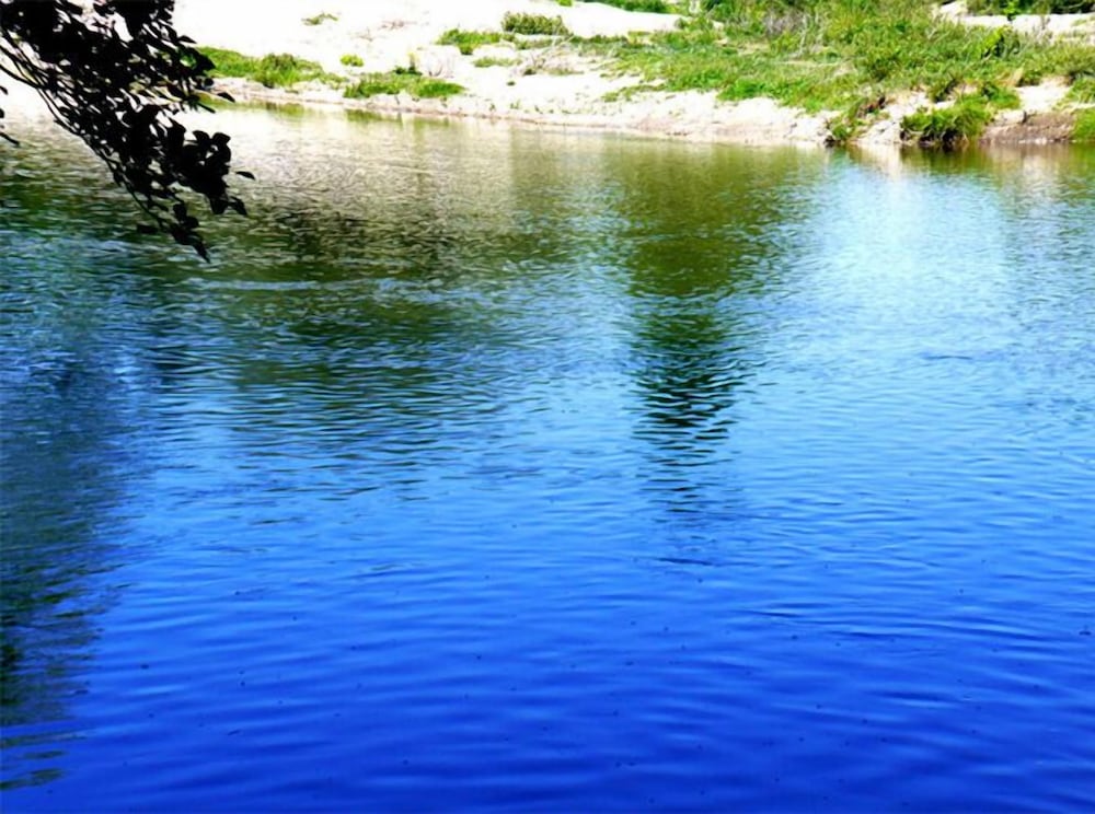Photo 48