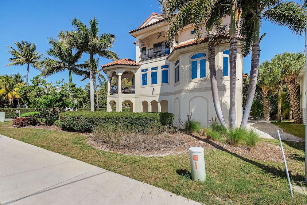 Sabal Palms