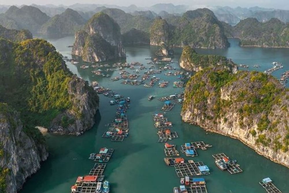 Verdure Lotus Classic Cruise on Lan Ha Bay