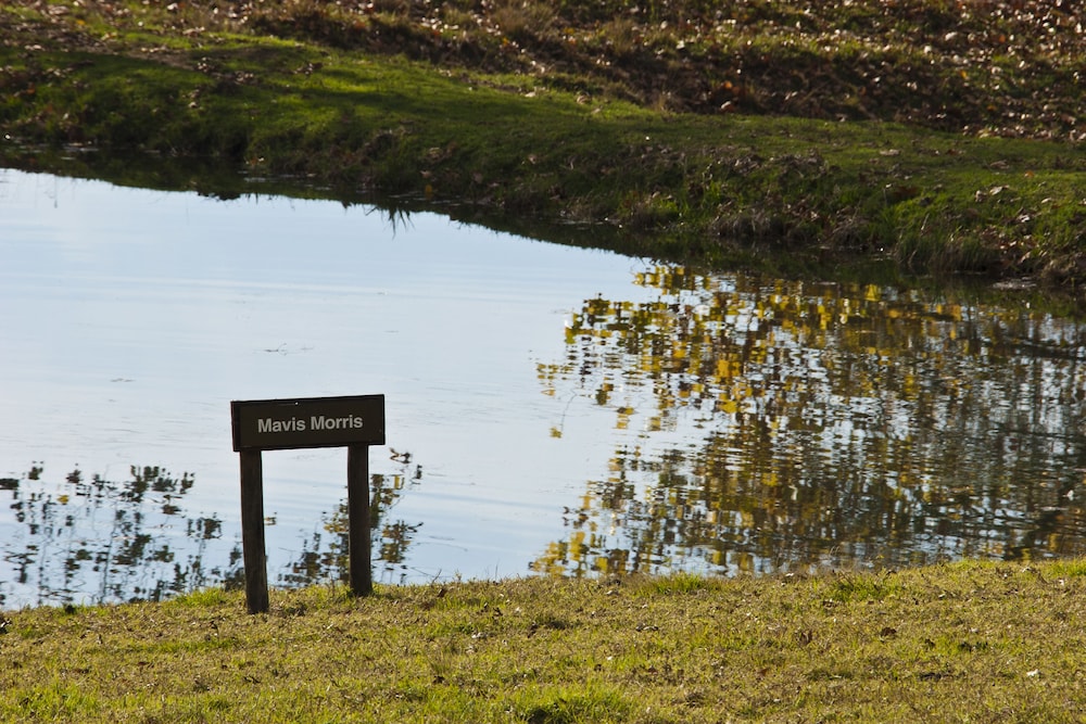 Whispering Waters