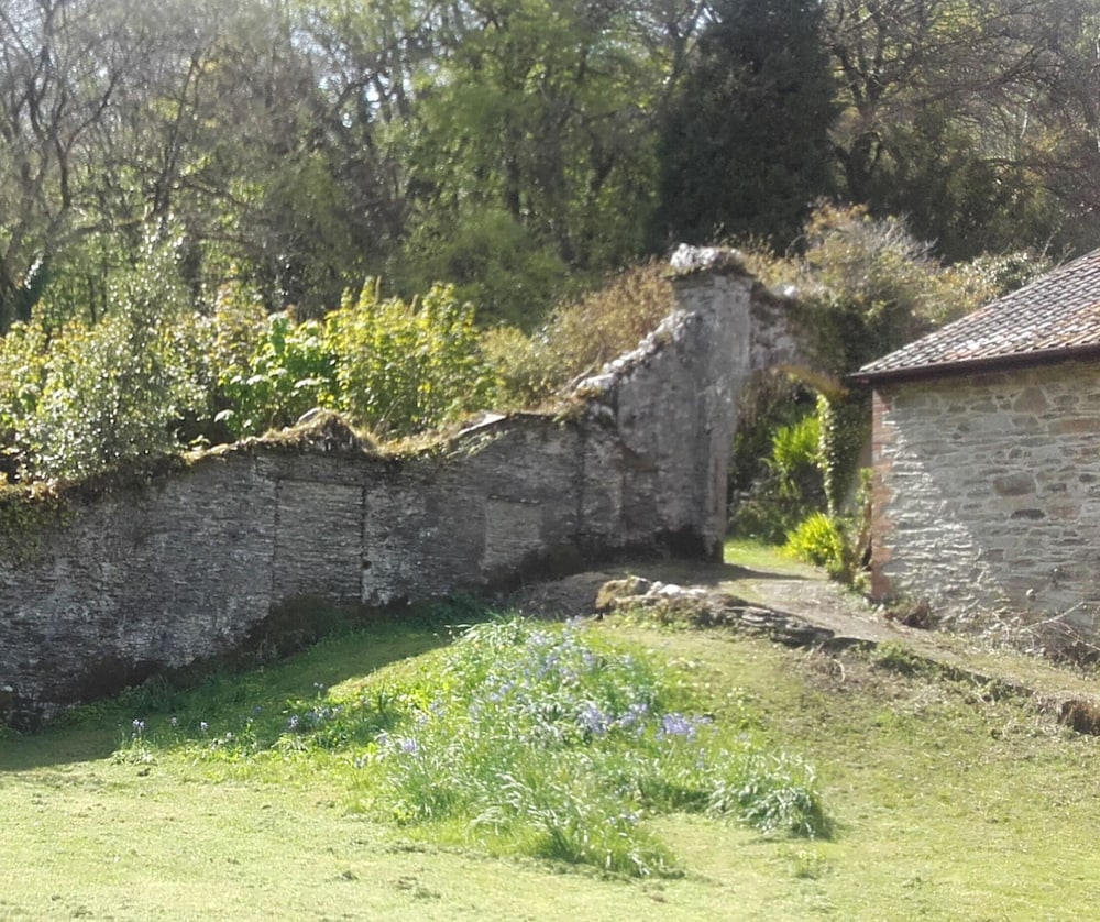Photo 44