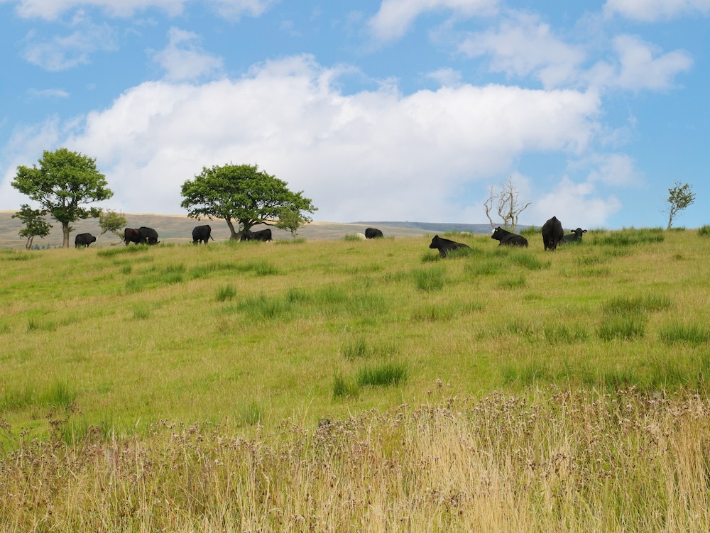 Bowland Barn