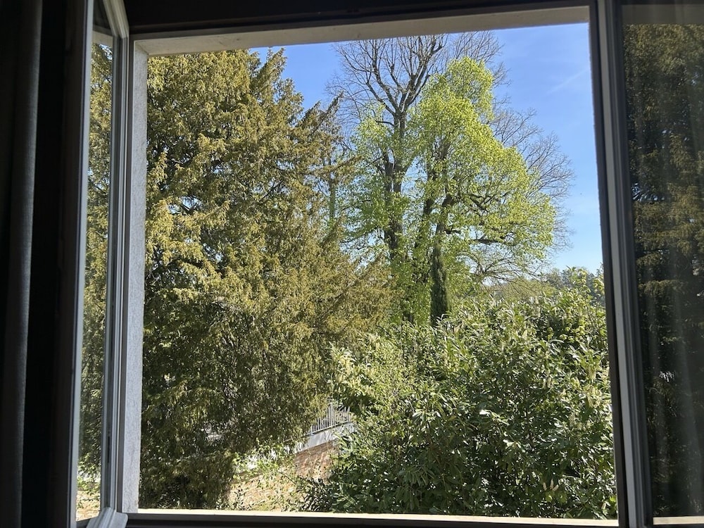 La Rose du petit Bois, photo 5