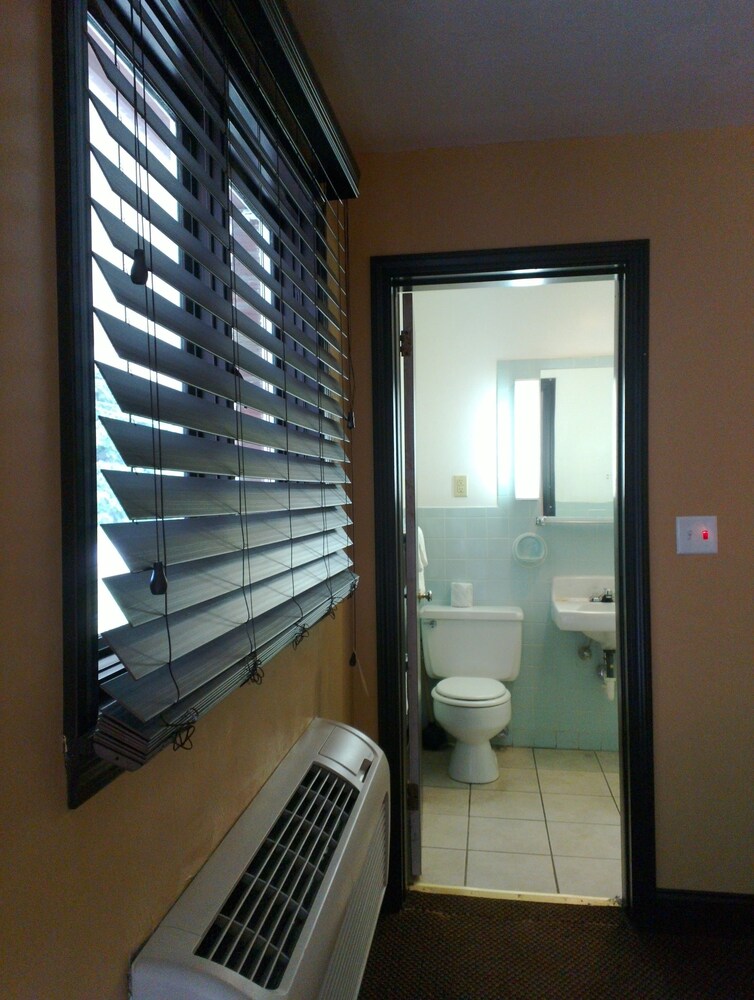 Photo 28