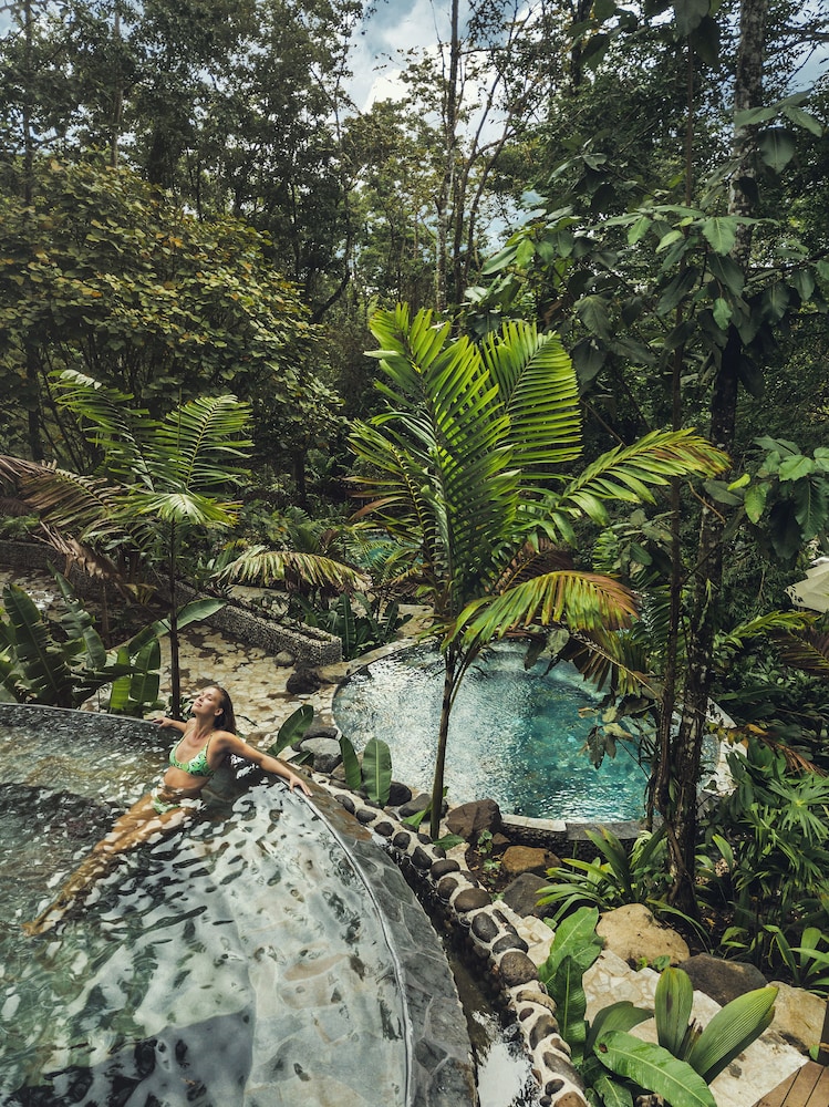Nayara Springs - Adults only - Property Image 2