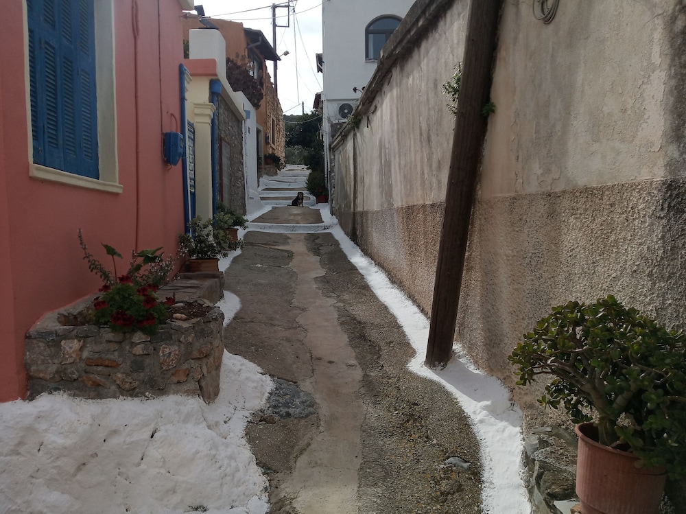 Photo 31