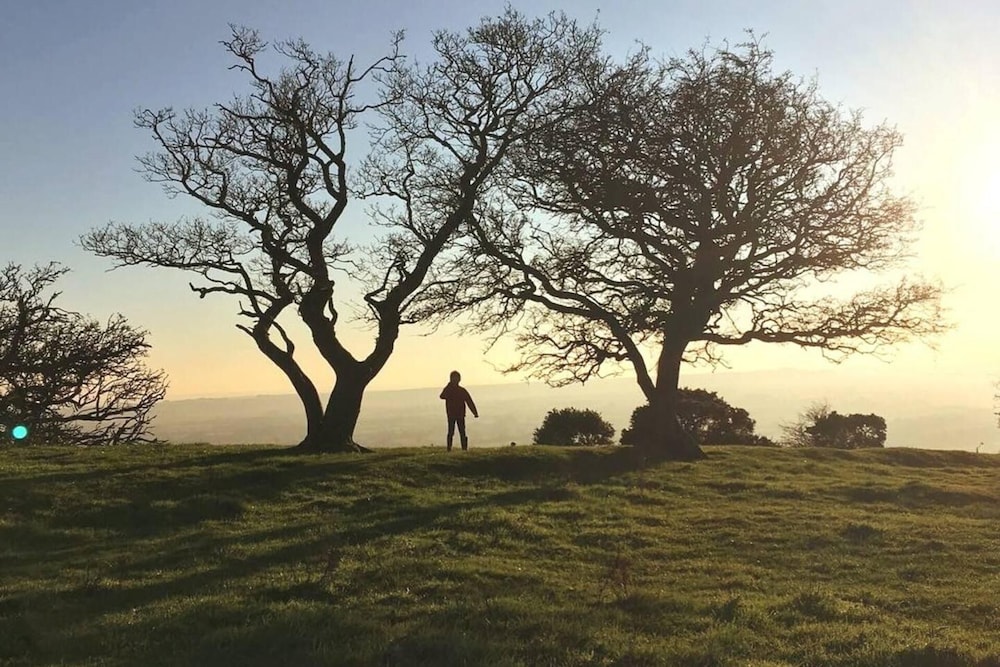 Marlborough Vacations - Perfect Cottage Hideaway in the Divine Pewsey Vale - Property Image 10