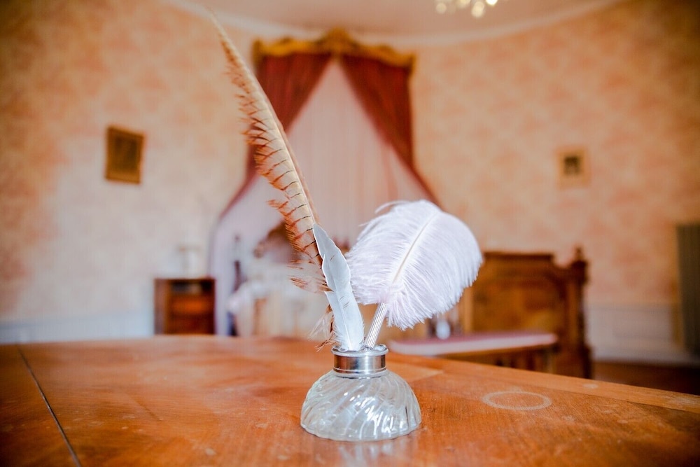 CHATEAU DE PUYRIGAUD - Property Image 4