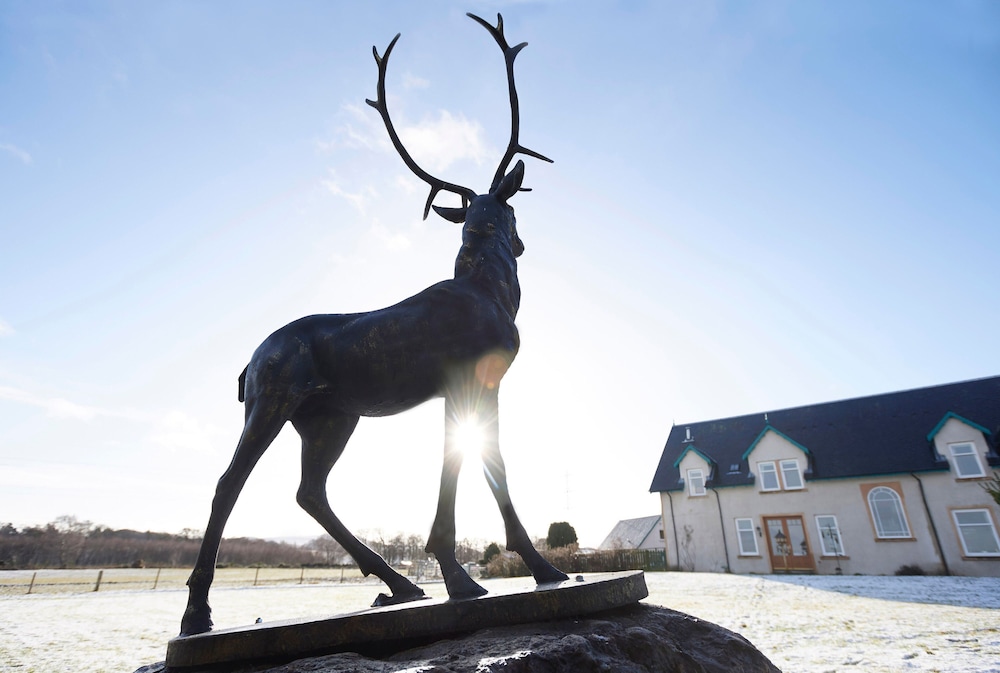 Daviot Lodge