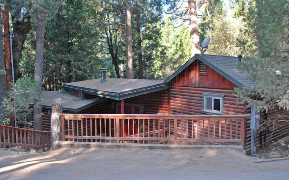 The Tree House