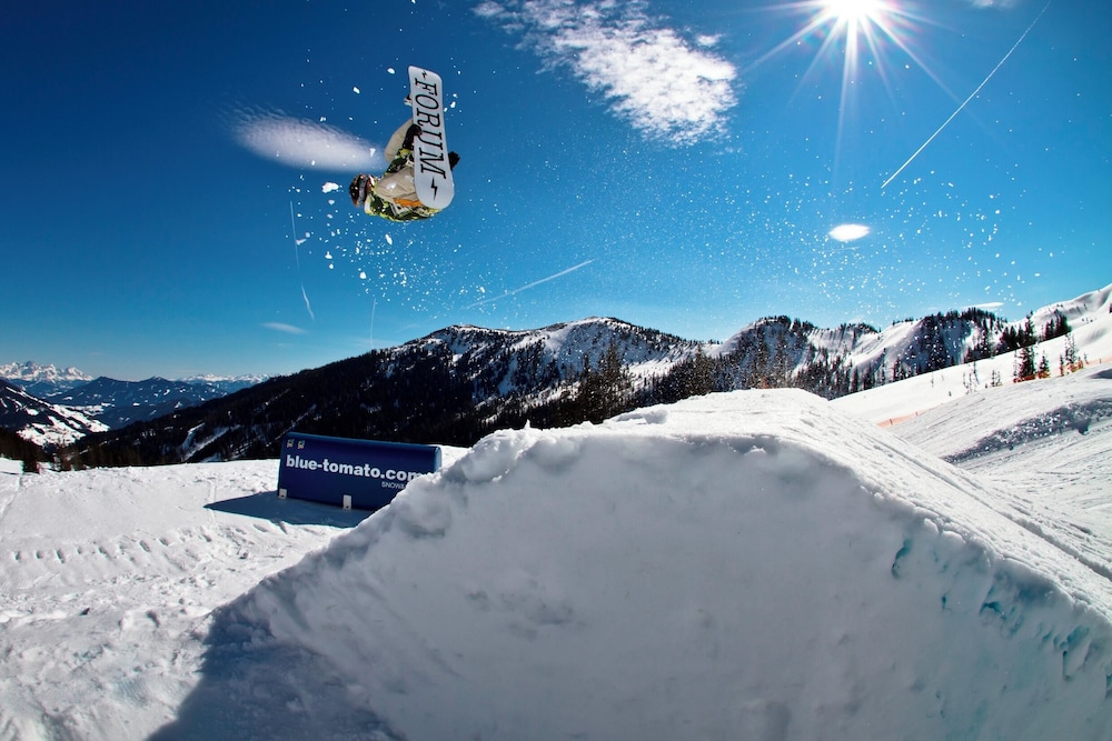 Almhof Alpin Apartments & Spa