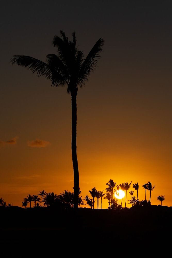 Luxury Oceanview Private Beach Access