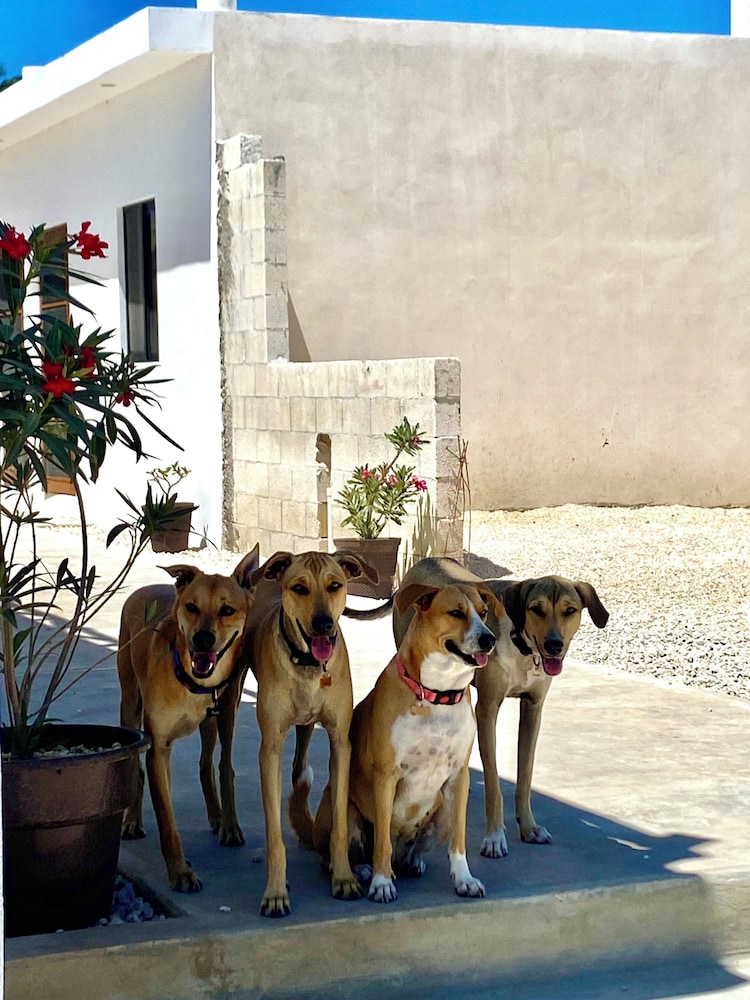 Casa Loto A