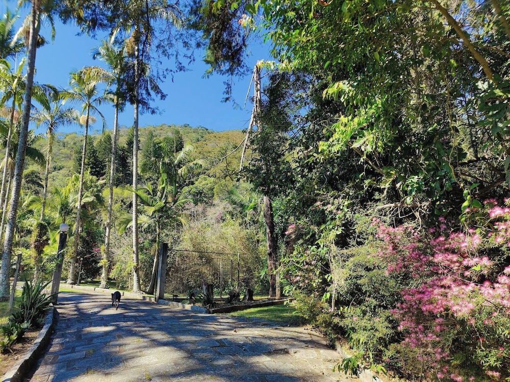 Paradisiacal Site in National Park