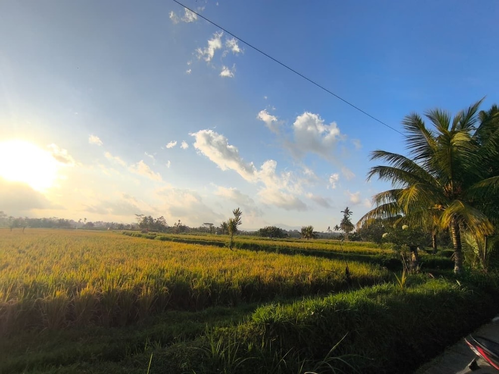 Gunung Gelagah Ubud Villas by EPS