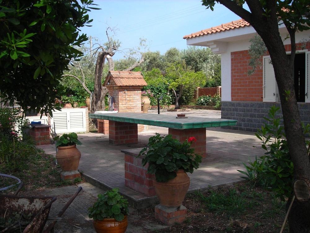 Photo 26