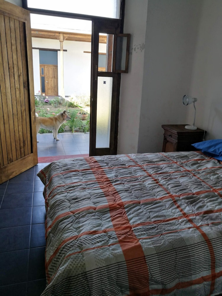 Photo 6
