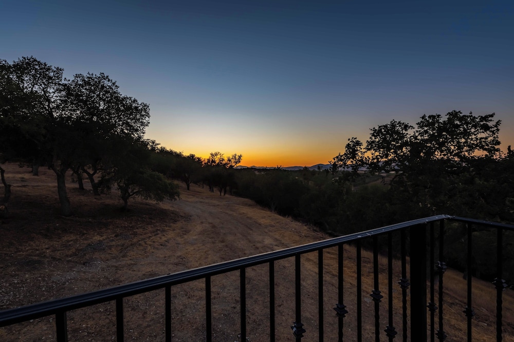 Blue Oak Oasis