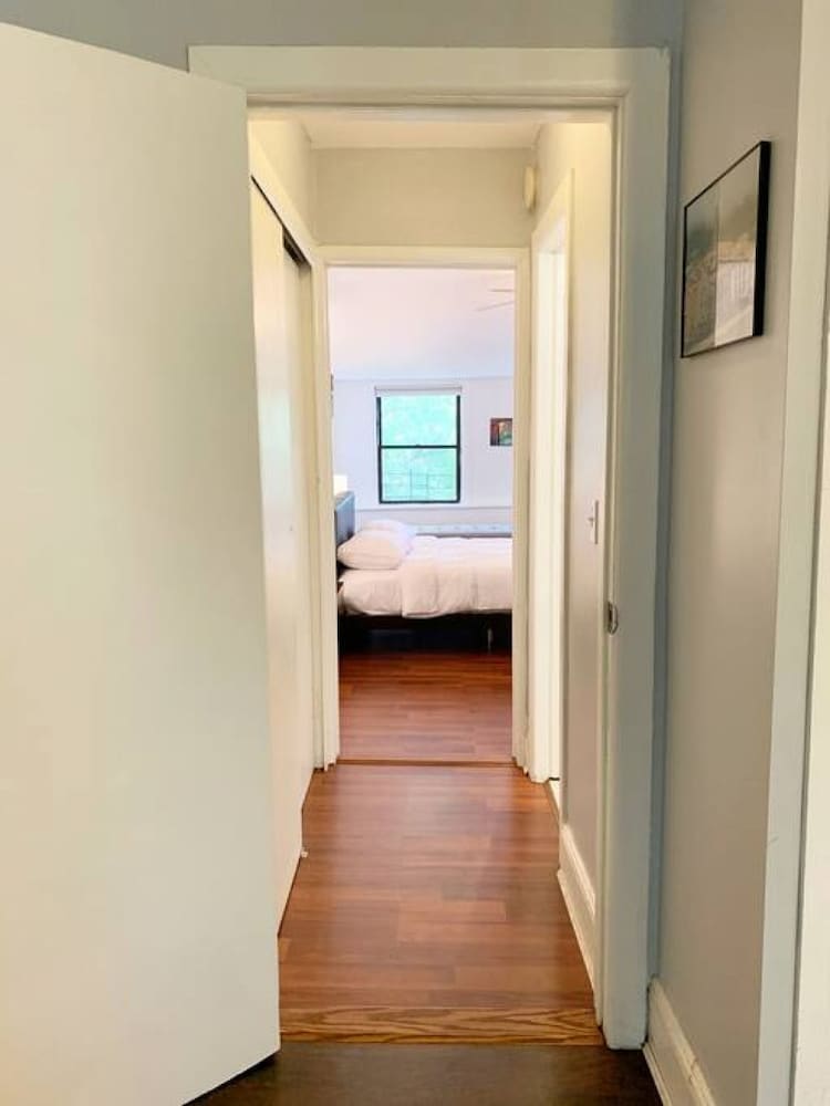 Easy Access to the Best of Brooklyn 2 Pets ok