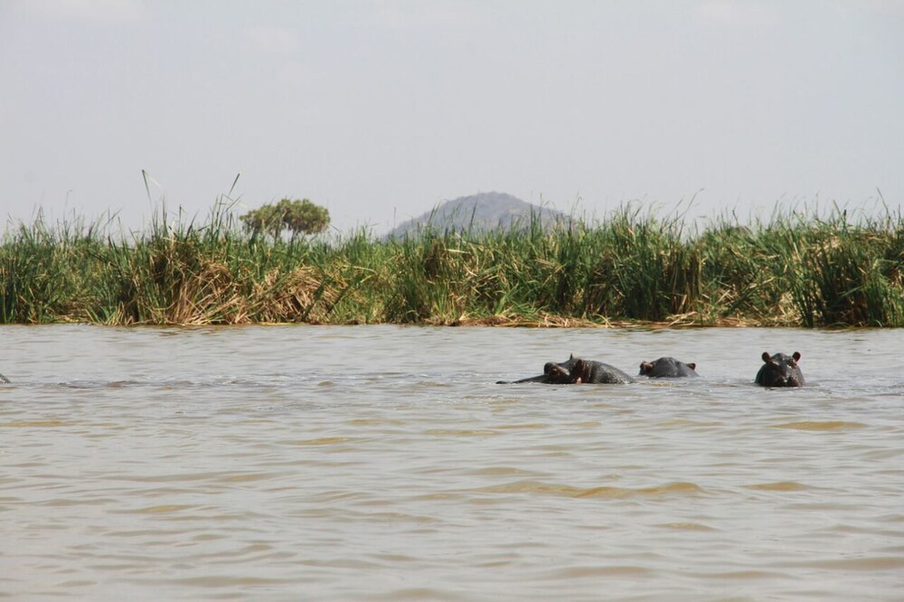 Lake Jipe Safari Camp