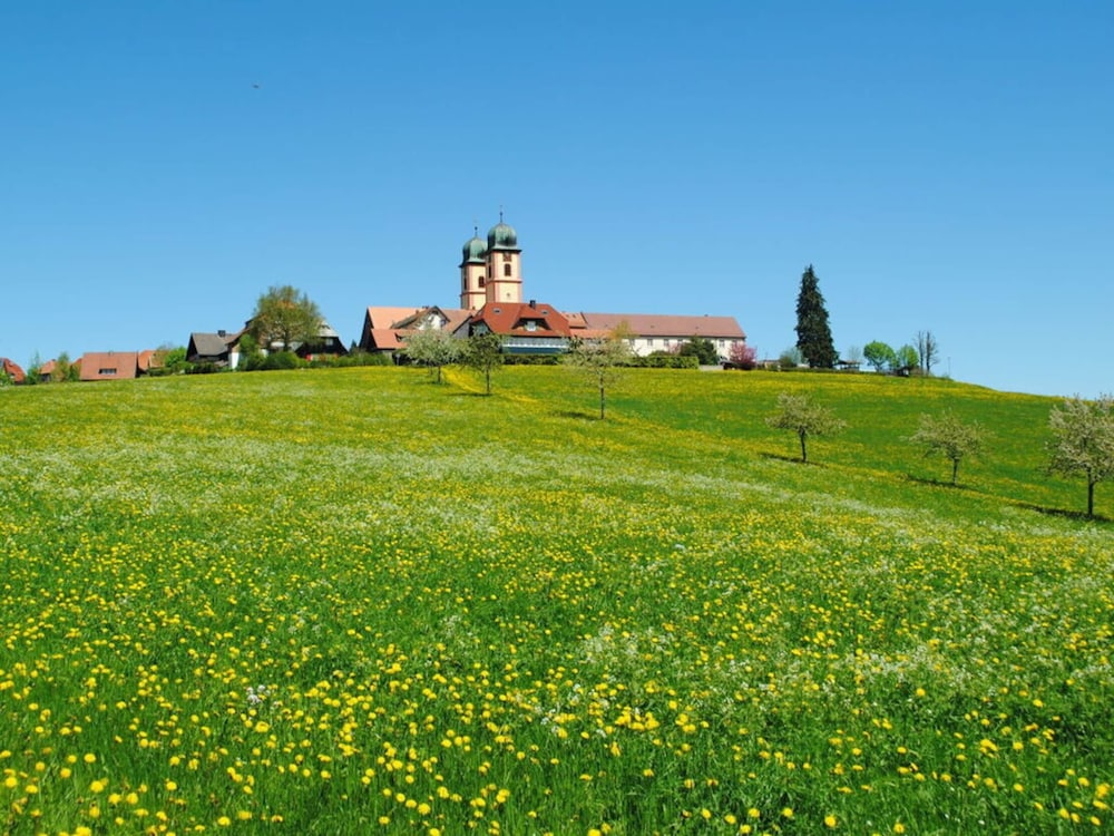 Landhuis Appartement Feldberg Uitzicht