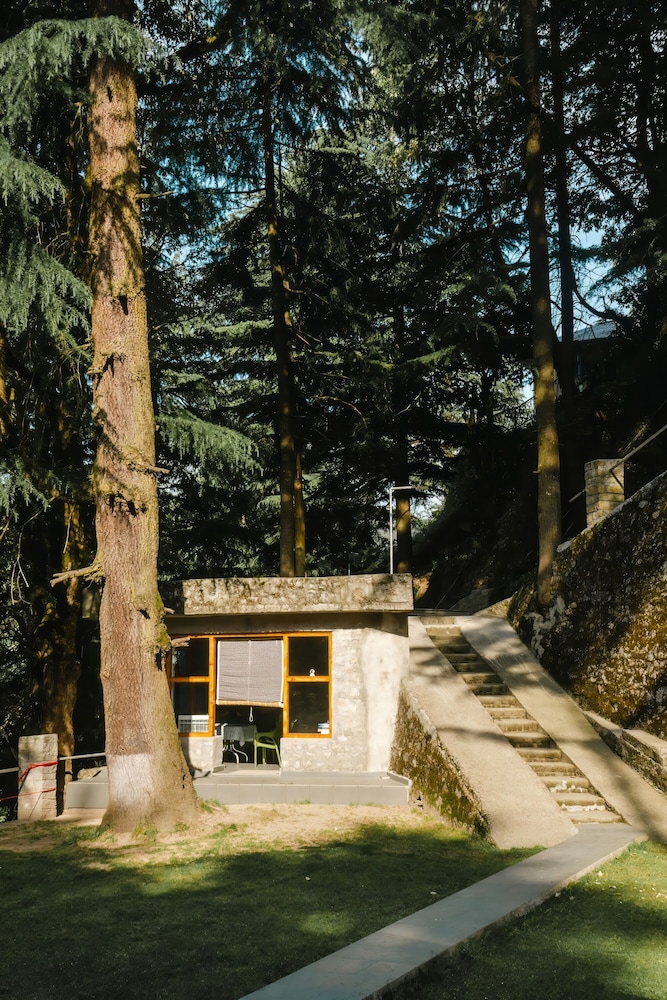 Photo 45