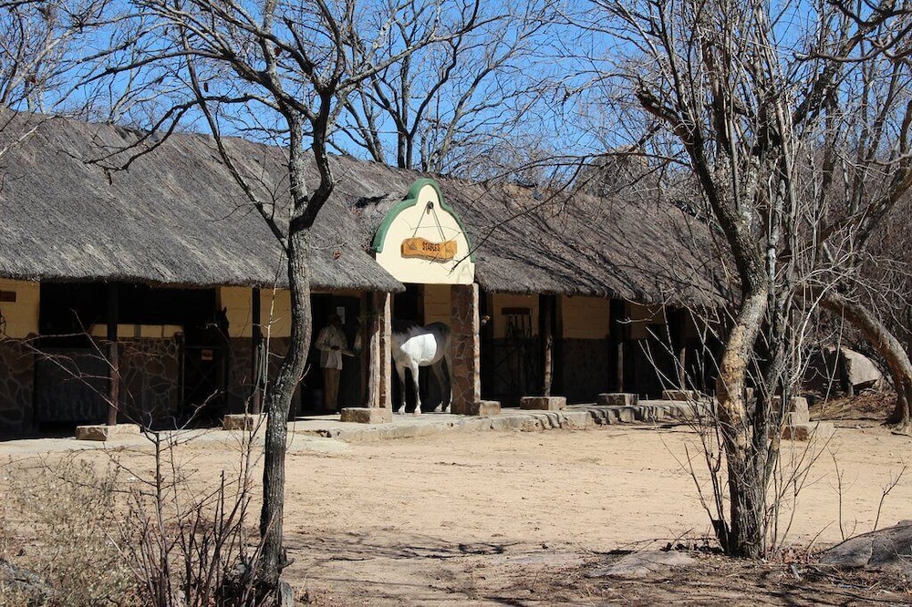 Photo 7