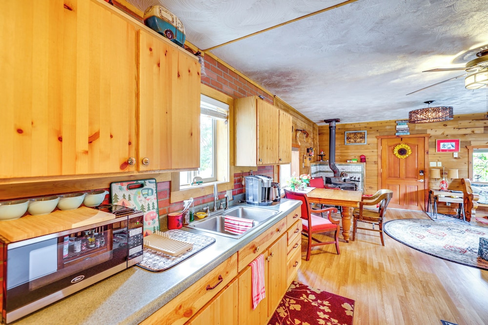 Cabin on Little Salmon River ~ 10 Mi to Riggins!