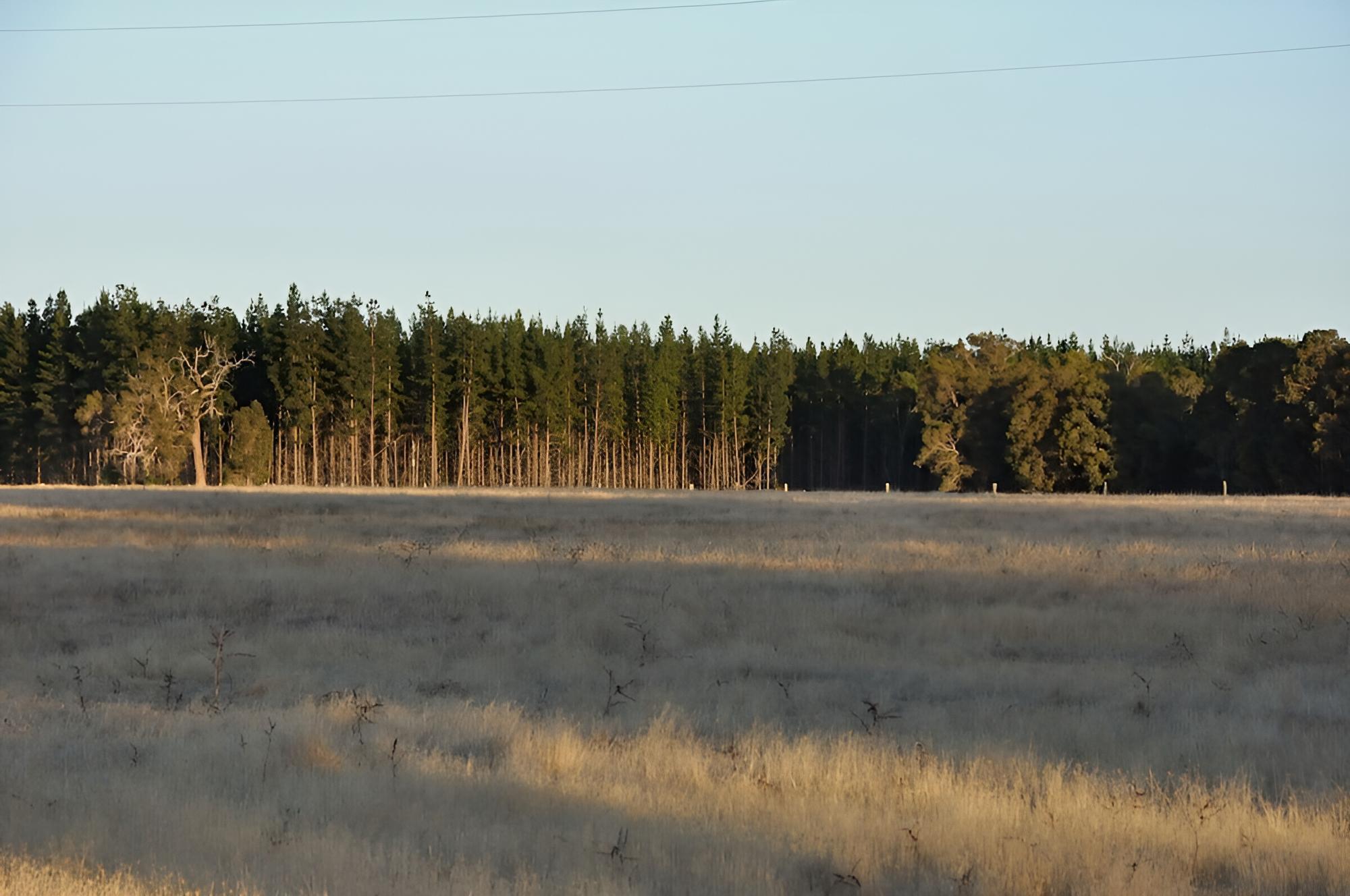 Wilga Farm Stay