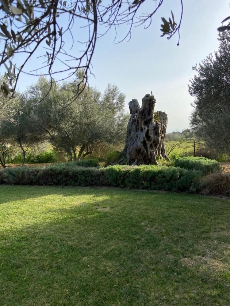 Villa Lilandion Luxury and Privacy, photo 17