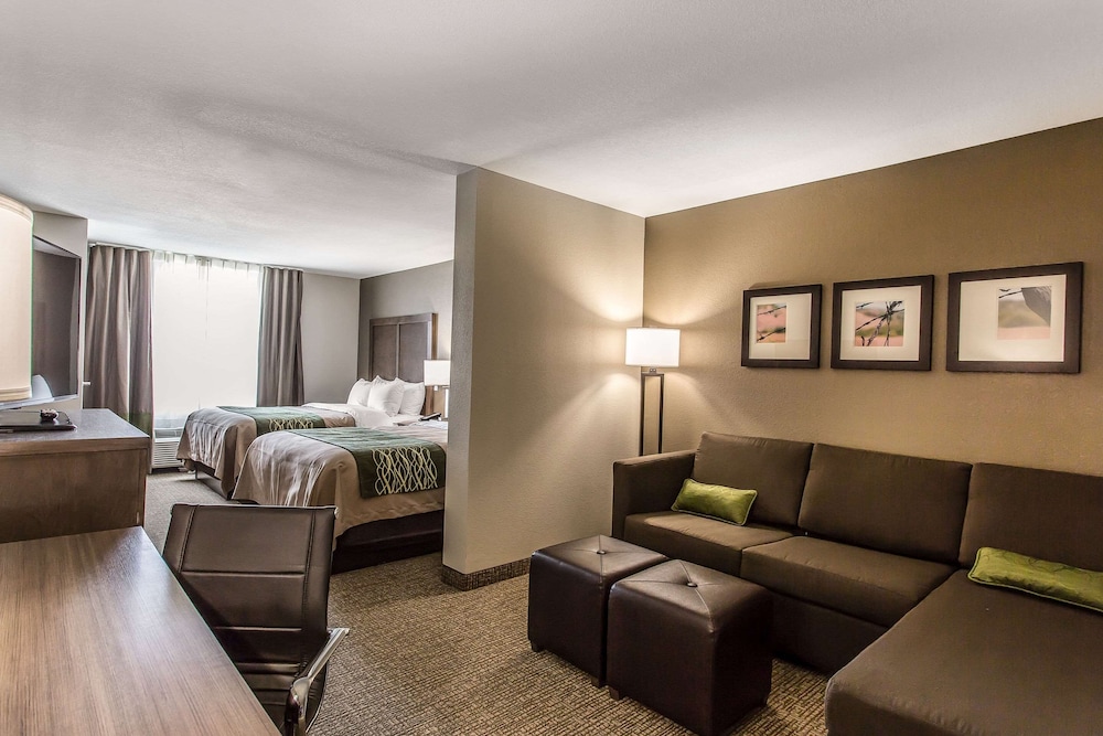Comfort Inn & Suites Snyder