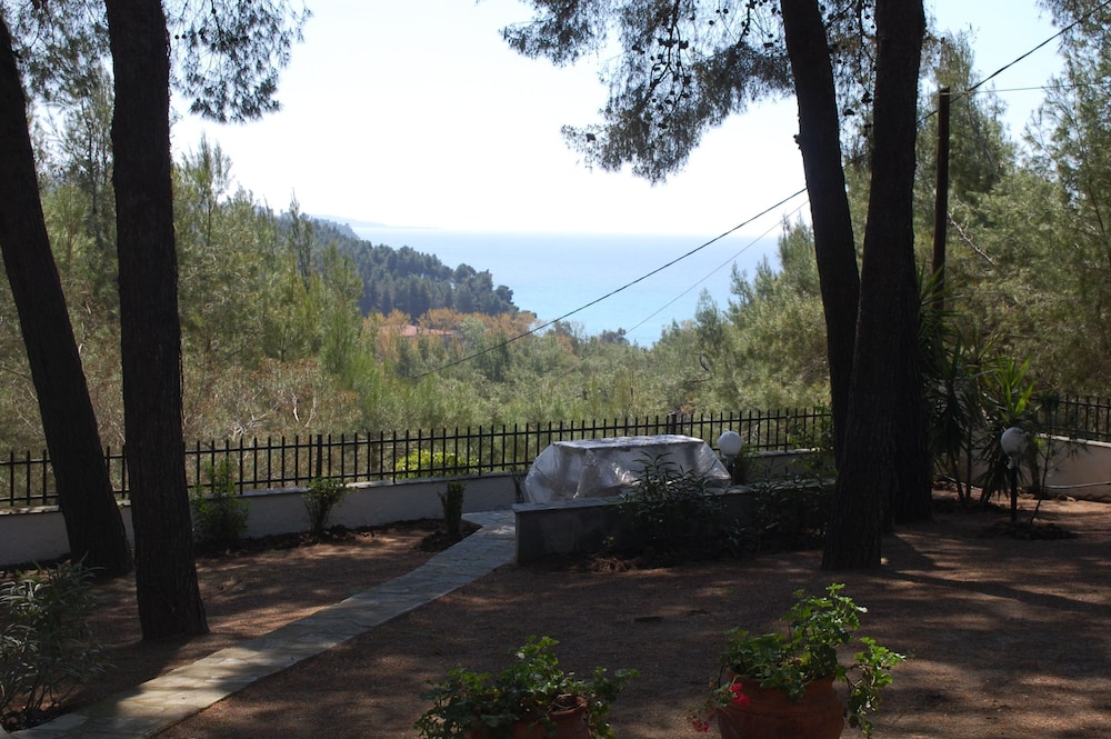 Photo 46