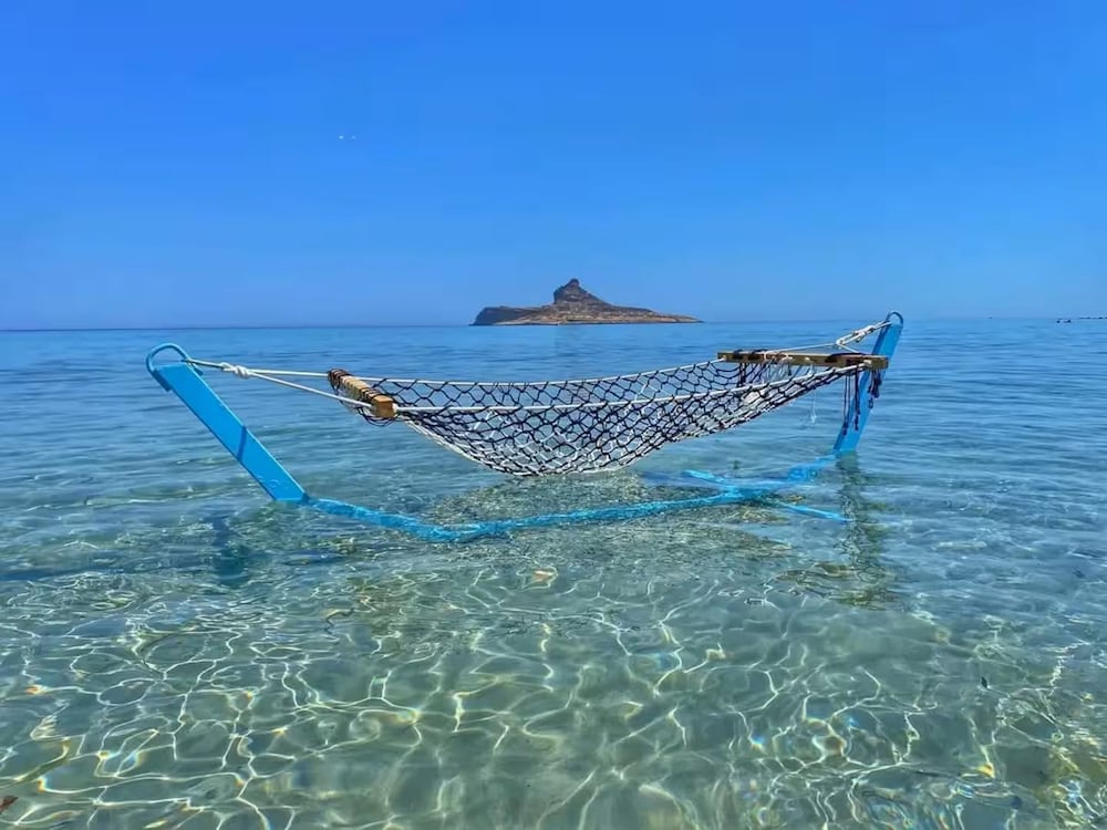 Dream View Nova