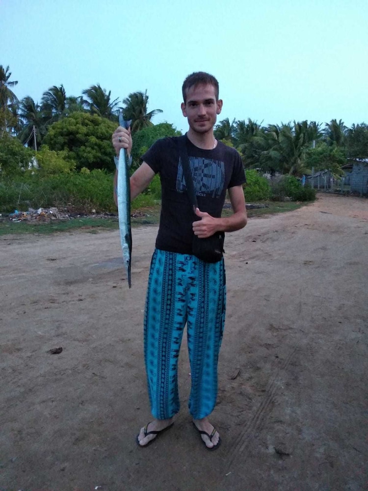dolphin wadiya