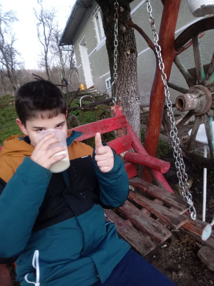 Photo 44