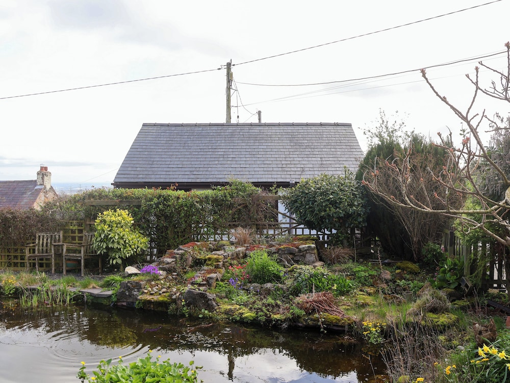 Dolphin Bach, photo 17