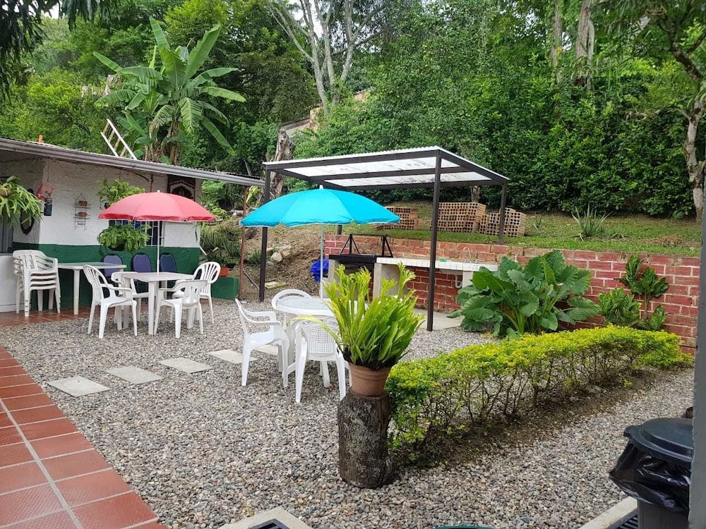 Photo 15