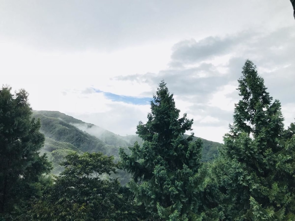 Xitou Bi Xue Shan Lin Homestay