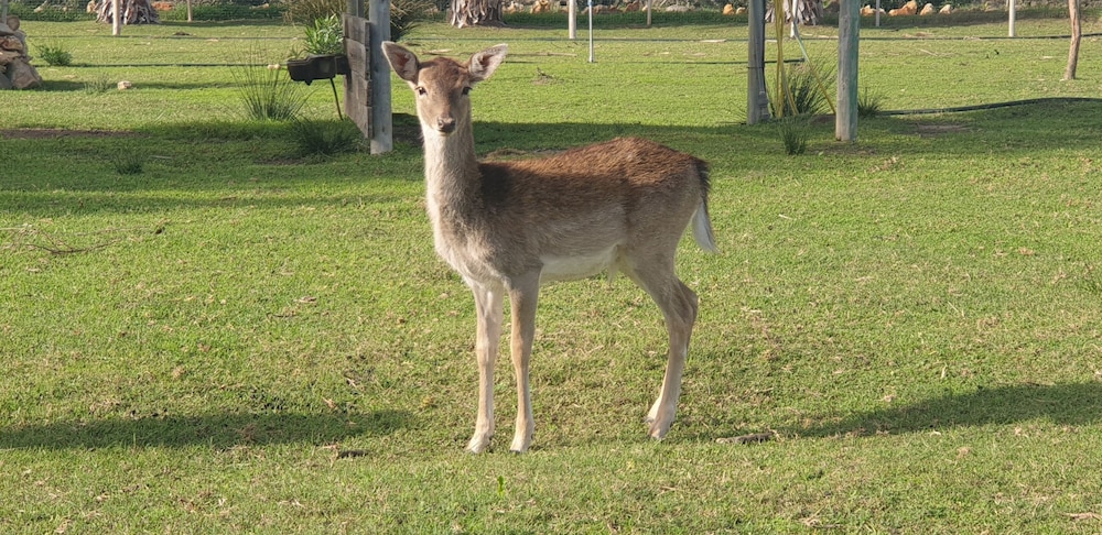 Photo 40