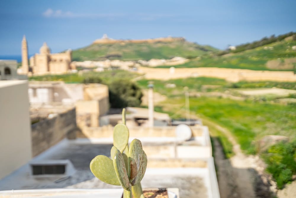 Ta' Pinu B&B, photo 20