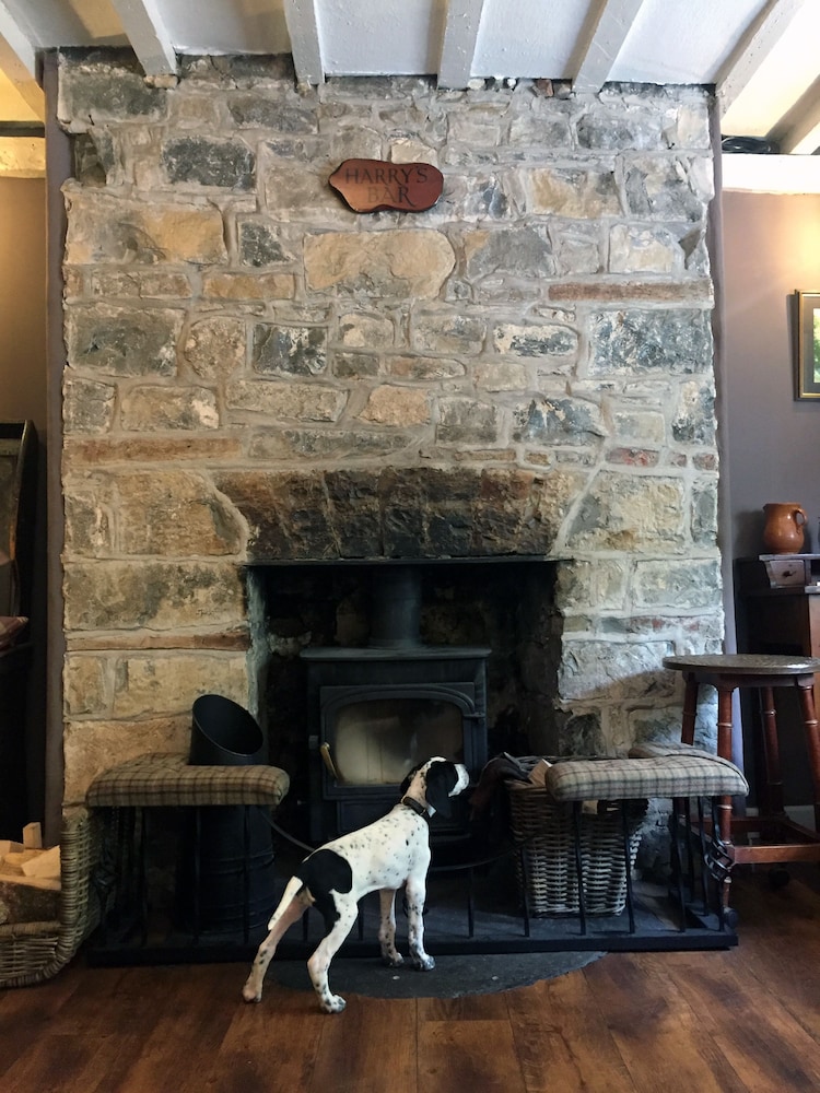 Fox & Hounds