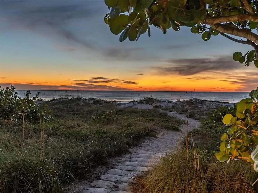 Walks On The Shore