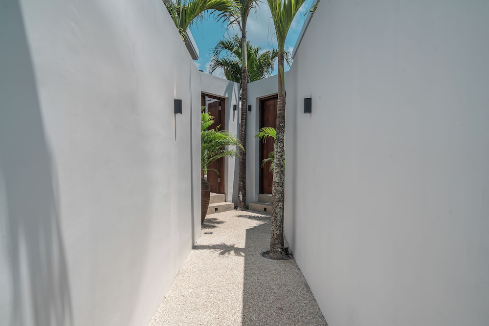 Nova Oasis 4